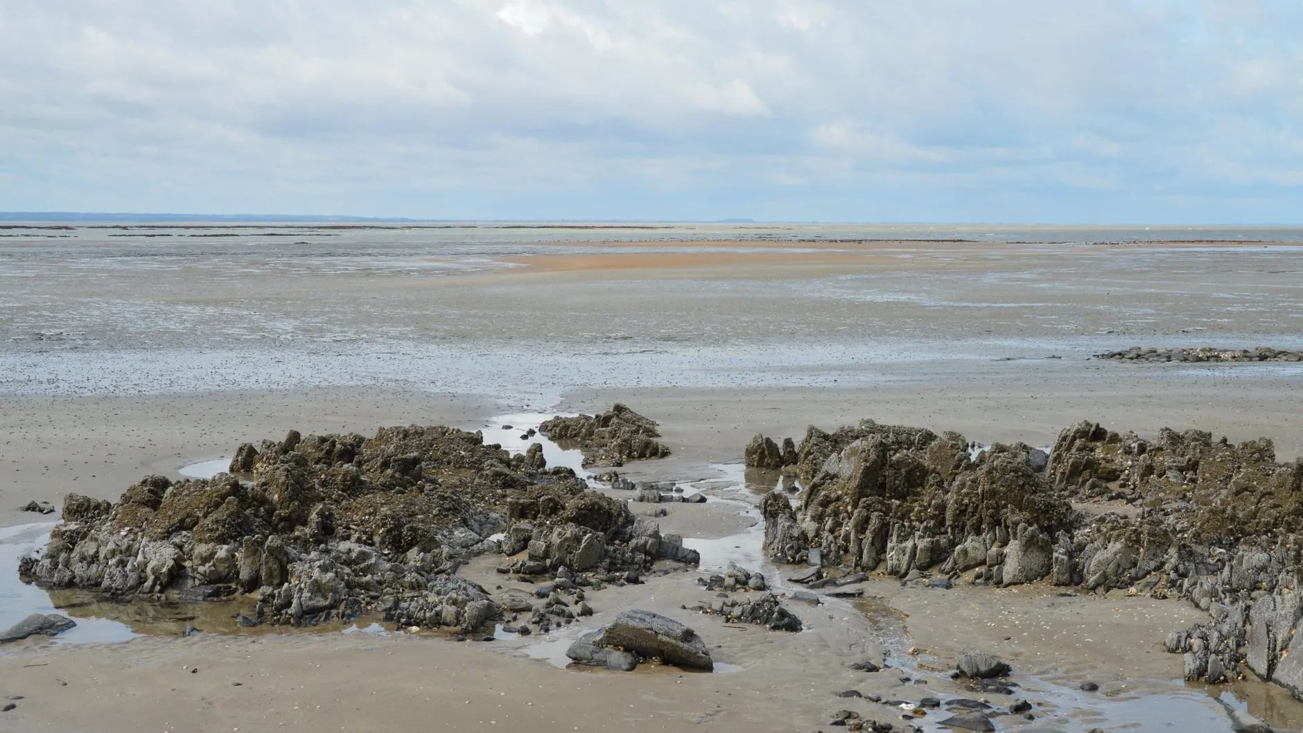 Dark rock outcrops on wet sand at low tide under a cloudy sky