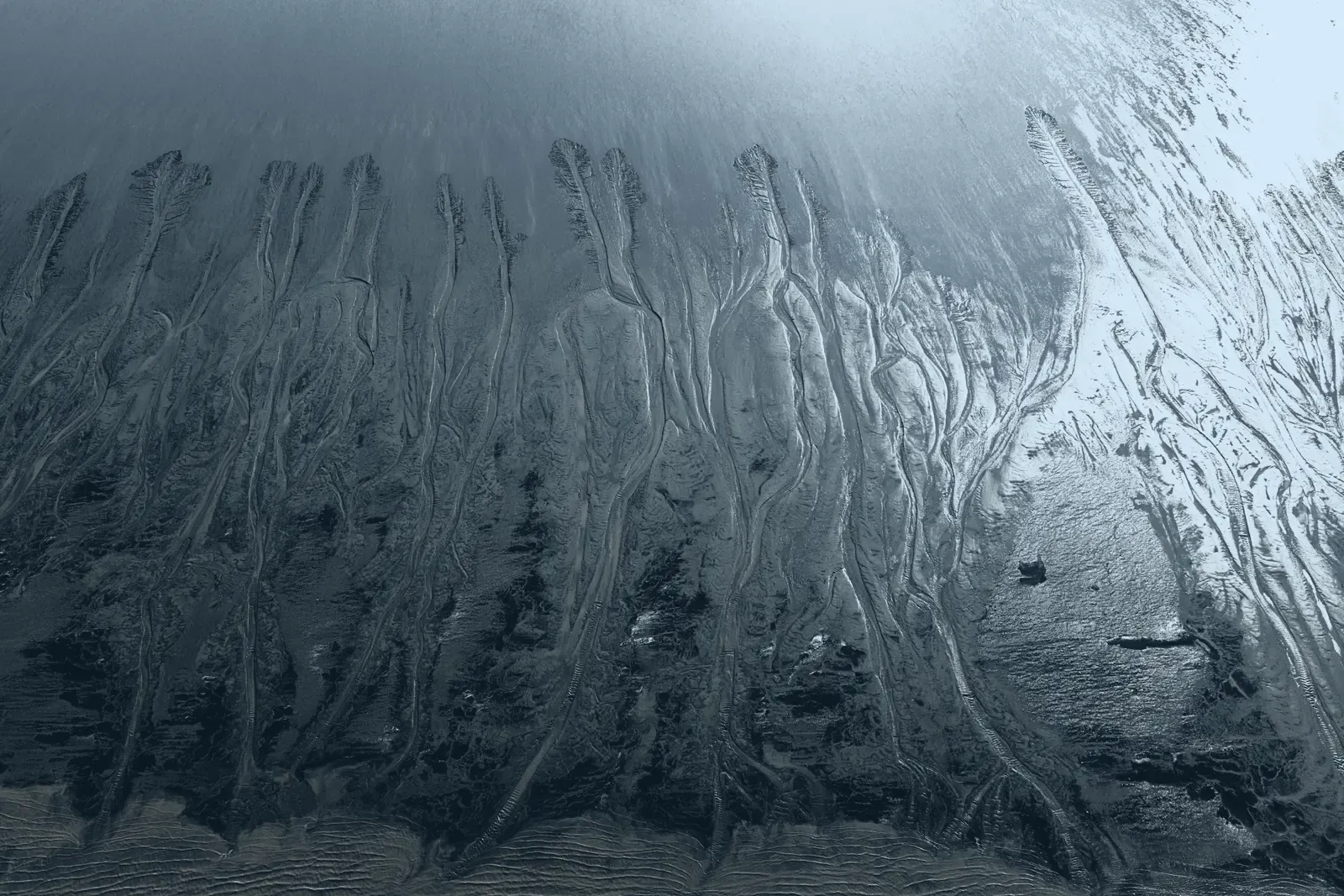 Drainage channels cut into a tidal mudflat seen from above, branching like a river system.